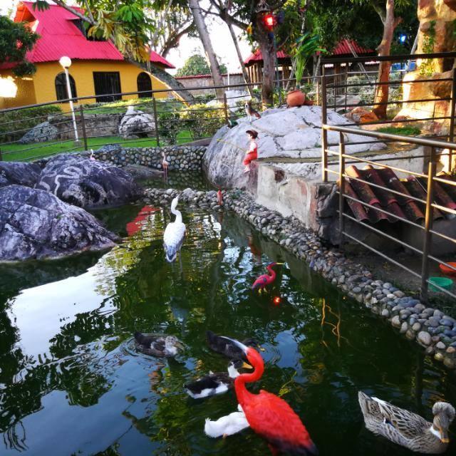 شيناوتا Finca Villa Alegria المظهر الخارجي الصورة