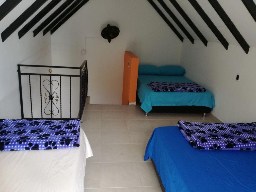 شيناوتا Finca Villa Alegria المظهر الخارجي الصورة